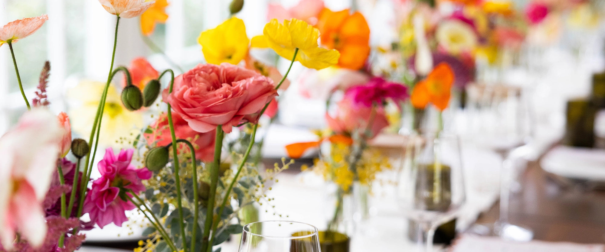 Krumbled Foods | Krumbled Foods |